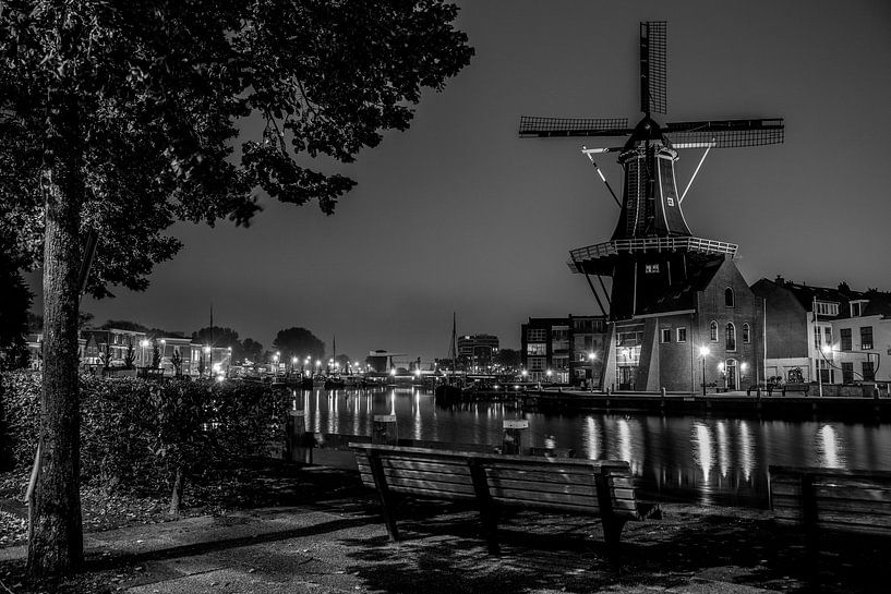 Haarlem op zijn mooist! by Dirk van Egmond
