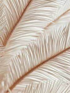Elfenbeinpalme