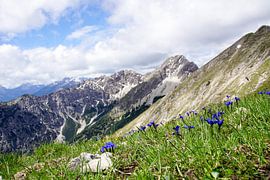 Naturpark Ammergauer Alpen gehört zu den schönsten Landschaftsräumen Bayerns. Er kombiniert unberührte Natur, vielfältige Bergwelt und traditionsreiche Almen.
