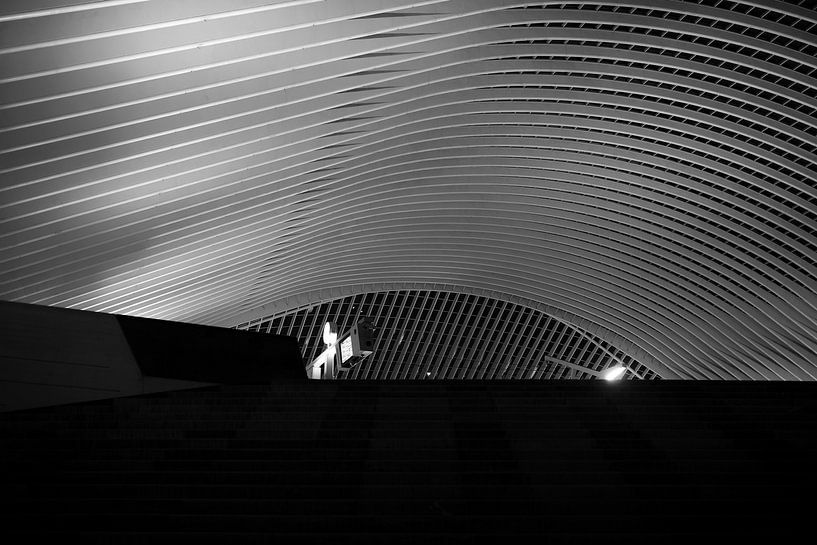 Liège railway station by Marius Mergelsberg