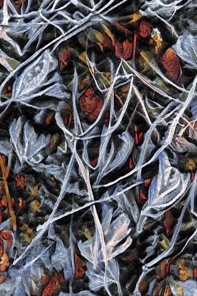 Ripe 2 par Joost Bolten