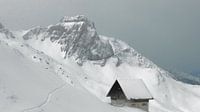 Het ALpen Huis In De Sneeuw van Daphne Photography thumbnail