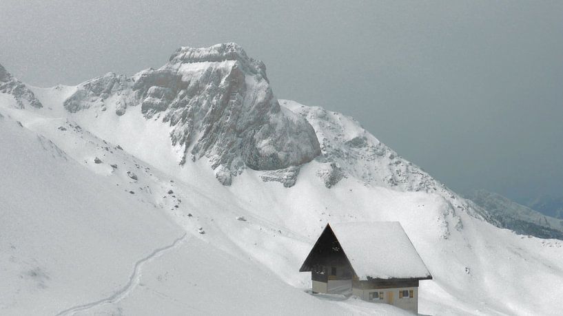 Het ALpen Huis In De Sneeuw van Daphne Photography