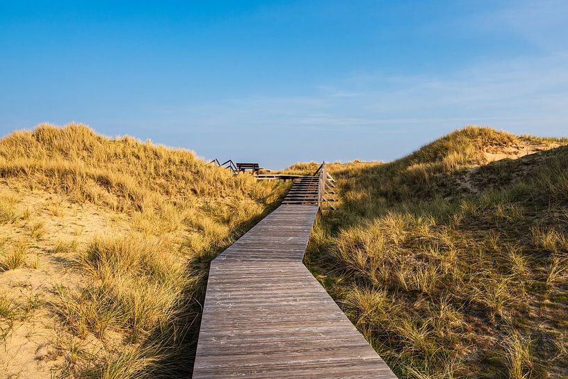 Paysage dans les dunes près de Norddorf sur l'île d'Amrum par Rico Ködder