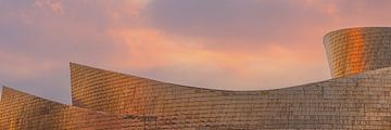 Panorama Guggenheim Museum, Bilbao van Henk Meijer Photography