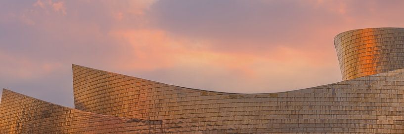 Panorama Guggenheim Museum, Bilbao by Henk Meijer Photography