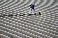 l'homme qui déteste les diagonales