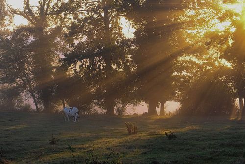 Zonsopkomst in Frankrijk van Annemie Lauvenberg