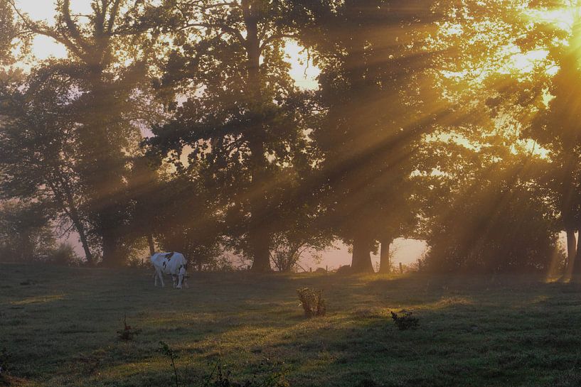 Zonsopkomst in Frankrijk von Annemie Lauvenberg