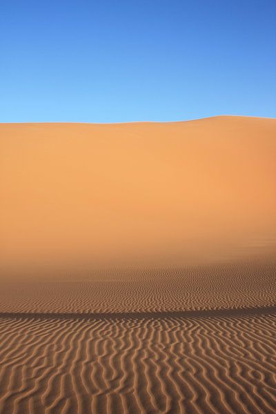 Sahara Woestijn van Niels Rijsenbrij