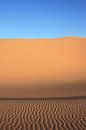 Sahara Woestijn van Niels Rijsenbrij thumbnail