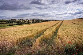 Ransdalerveld bij Elkenrade