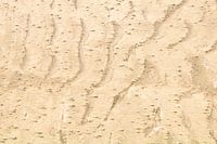 Sand life