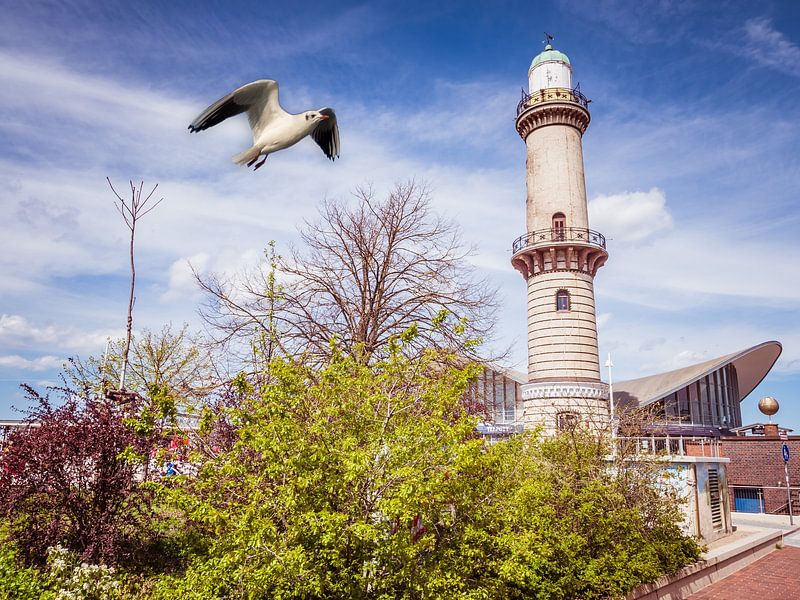 Leuchtturm in Warnemünde mit Möwen von Animaflora PicsStock