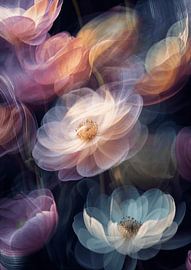 Rêve de fleur sur Sander Hupkes