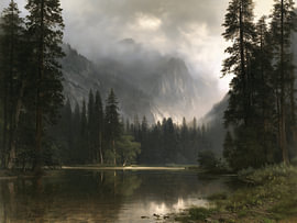Misty mountain forest lake landscape by IamHomeStudio