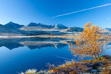 Dørålen Herbst von Sven-Erik Arndt