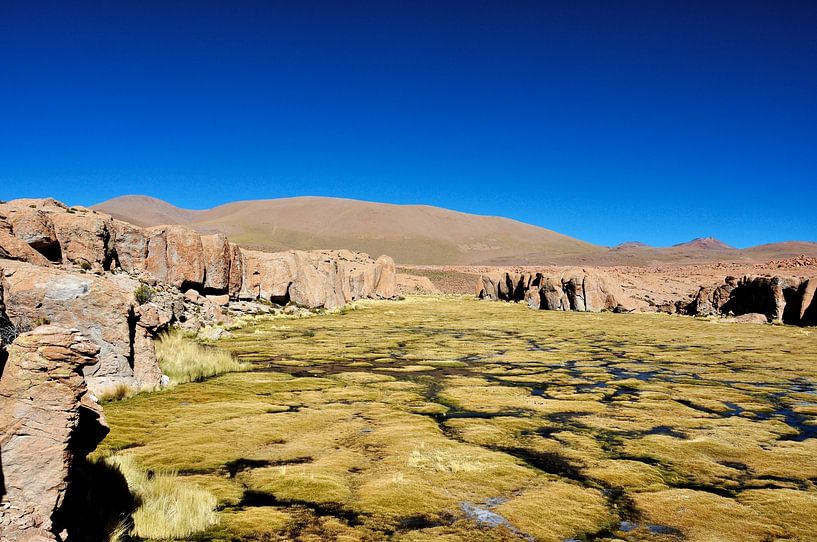 Harmony between rock and Andean vegetation by Frank Photos