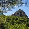 Castellet de Calp et pinède verte sur Adriana Mueller
