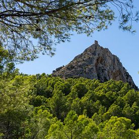 Castellet de Calp and green pine forest by Adriana Mueller