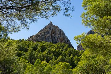 Castellet de Calp and green pine forest