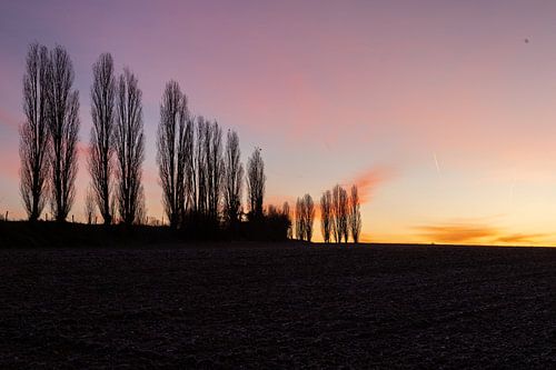 beautiful sunrise in Tuscany near the typical poplar trees by Kim Willems