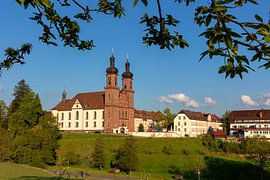 Blick zur Klosterkirche in St.Peter von Jürgen Wiesler
