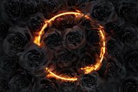 Burning circle shape in flames is covered by black roses
