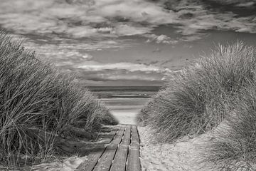 Strandovergang van Zeeland op Foto