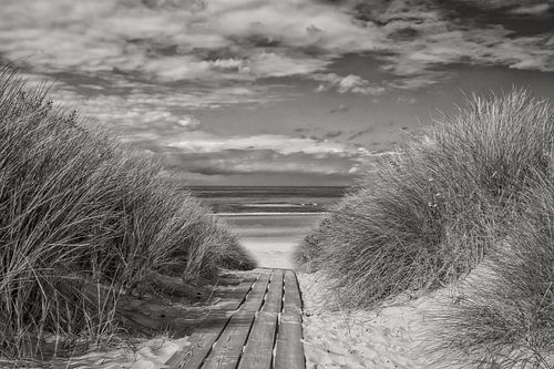 Beach crossing by Zeeland op Foto
