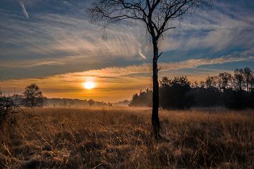 Sunrise Buurse by Jeroen te Lindert