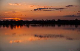 Coucher de soleil sur Monica Zimmermans