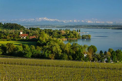 View over Lake Constance to the Swiss Alps
