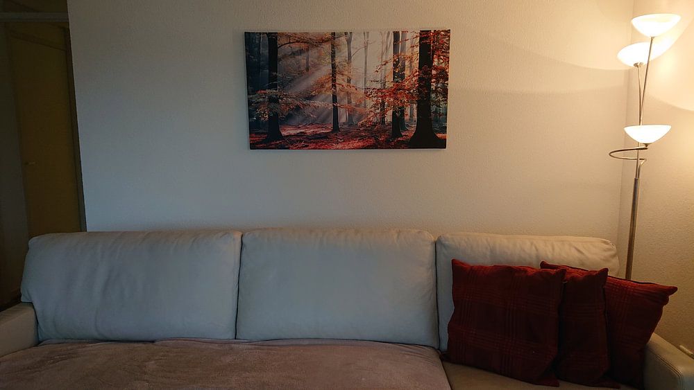 Sinfonia Della Foresta 2  von Lars van de Goor 