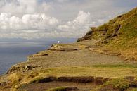 Cliffs of Moher - Irland von Babetts Bildergalerie Miniaturansicht