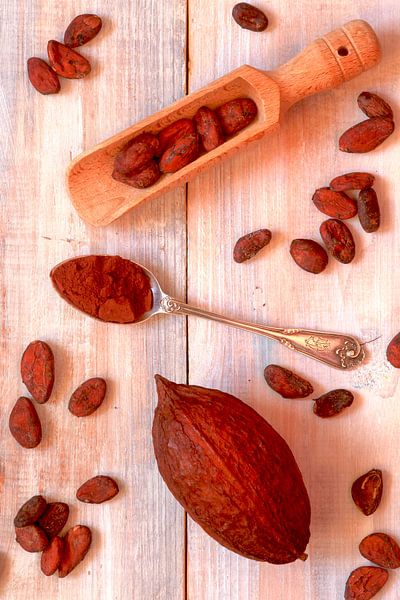 Kakao von Thomas Jäger