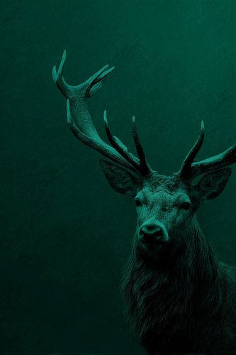 Stag in Silence Symbol of Forest Power