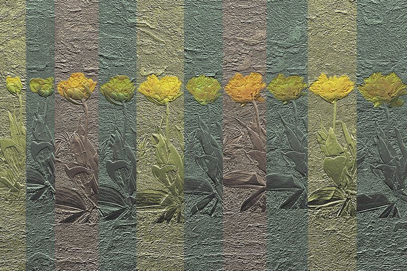 Tulp geel van knop tot volle bloei van Susan Hol