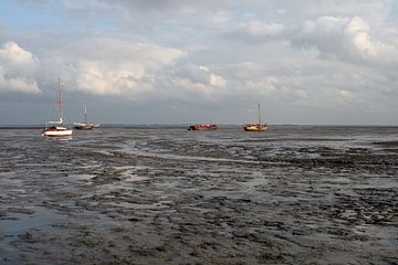 Gestrand op het Wad