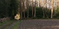 Drenthe