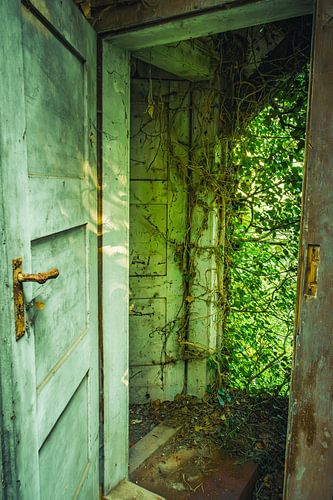 Verlaten deur naar het platteland - verloren plek veroverd door de natuur