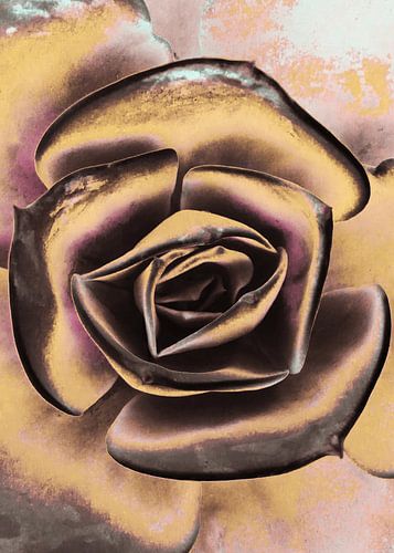 POPART VAN VETPLANTEN I-1