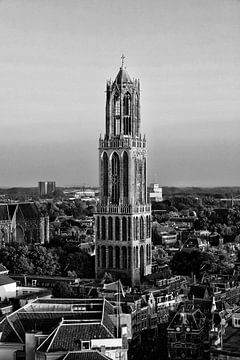 De Utrechtse Dom gezien vanaf de Neudeflat in zwart-wit