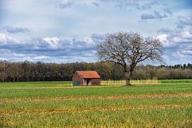 Scheune und Baum von Wim Jacobs