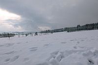 Finally winter with lots of snow