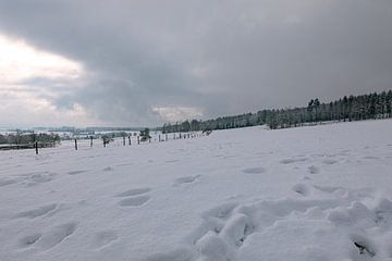 Eindelijk winter met veel sneeuw van Harald Schottner