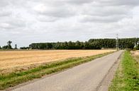 Weg naar Nederland van Olivier Van Acker thumbnail