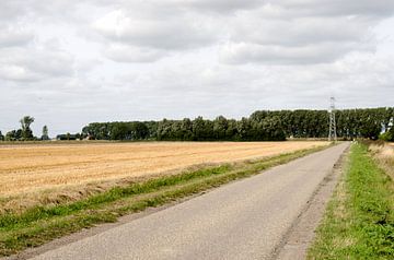 Weg naar Nederland van Olivier Van Acker