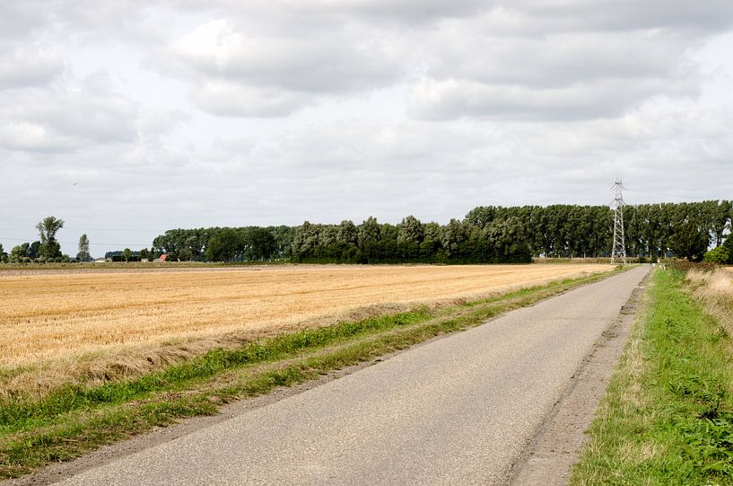 Weg naar Nederland van Olivier Van Acker