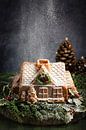 Maison de Noël enneigée en gâteau par Saskia Schepers Aperçu